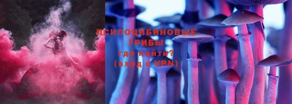 эйфоретик Алексеевка