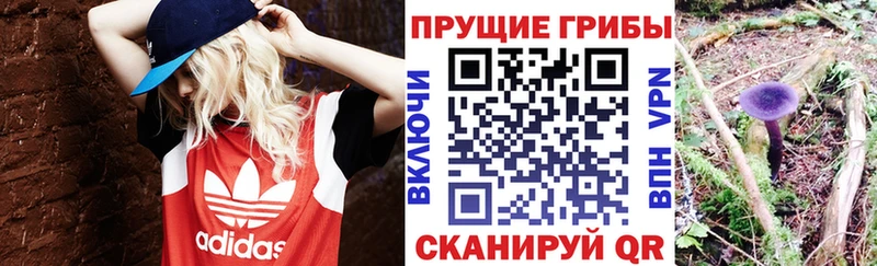 Галлюциногенные грибы прущие грибы  как найти наркотики  Щёлкино 