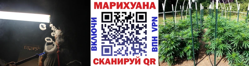 ссылка на мегу рабочий сайт  Щёлкино  Шишки марихуана сатива 